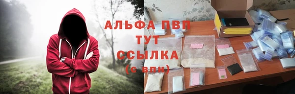 гашик Волосово