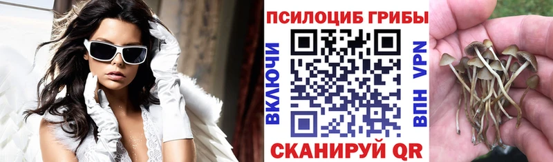 Псилоцибиновые грибы MAGIC MUSHROOMS  где найти   даркнет состав  Калач  omg  